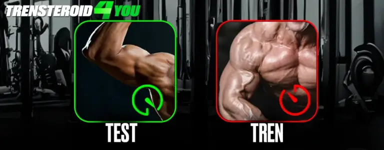 Tren vs. Test: Which is Right for You?